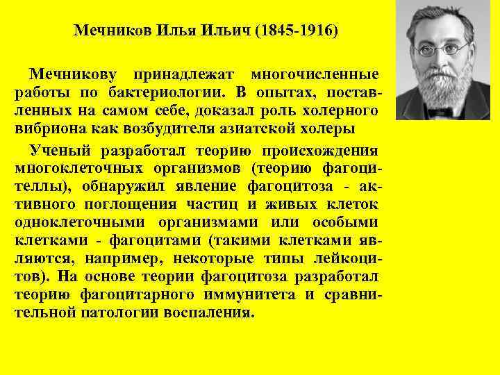 Мечников Илья Ильич (1845 -1916) Мечникову принадлежат многочисленные работы по бактериологии. В опытах, поставленных