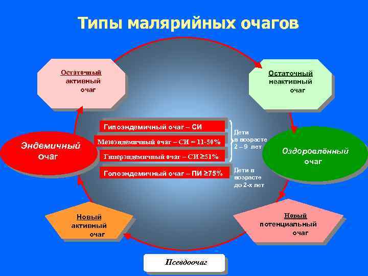 Типы малярийных очагов Остаточный активный очаг Эндемичный очаг Остаточный неактивный очаг Гипоэндемичный очаг –