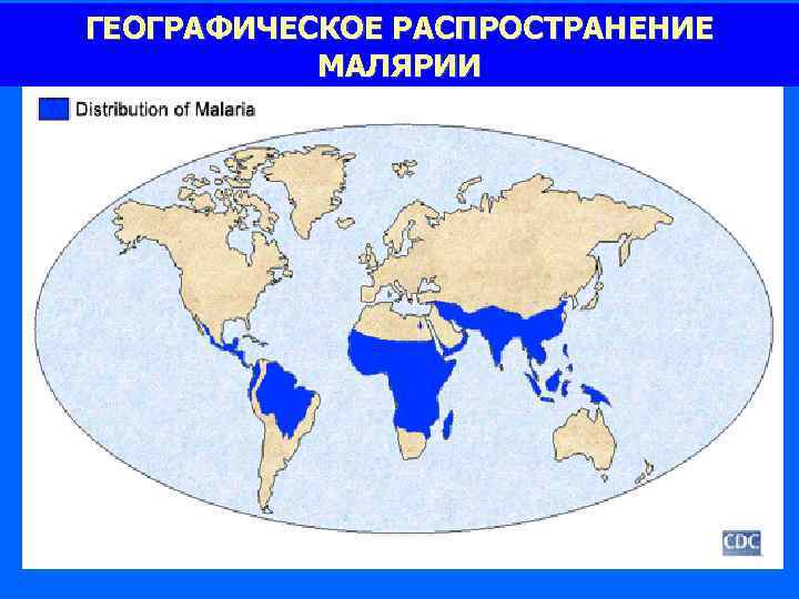 ГЕОГРАФИЧЕСКОЕ РАСПРОСТРАНЕНИЕ МАЛЯРИИ 