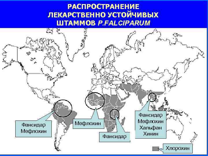 РАСПРОСТРАНЕНИЕ ЛЕКАРСТВЕННО УСТОЙЧИВЫХ ШТАММОВ P. FALCIPARUM Фансидар Мефлохин Хальфан Хинин Хлорохин 