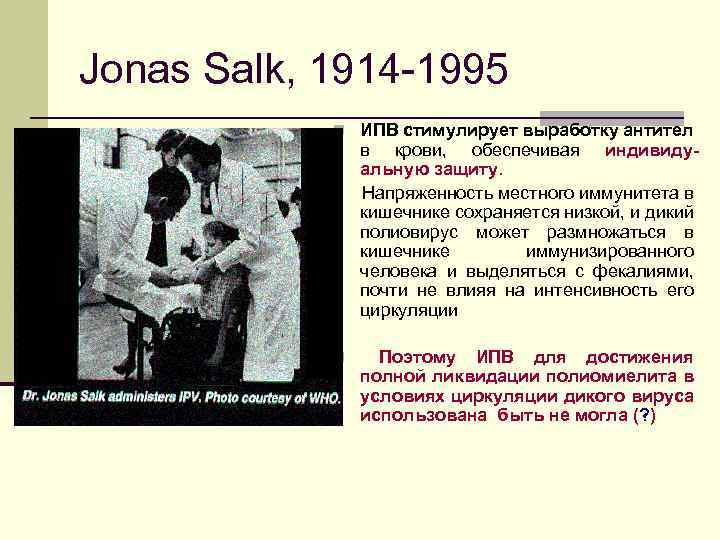 Jonas Salk, 1914 -1995 n ИПВ стимулирует выработку антител в крови, обеспечивая индивидуальную защиту.