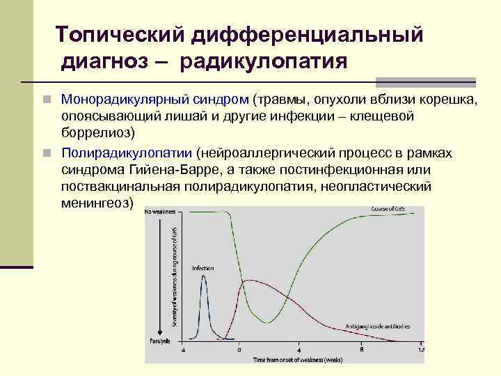 Топический дифференциальный диагноз – радикулопатия n Монорадикулярный синдром (травмы, опухоли вблизи корешка, опоясывающий лишай