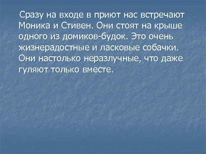 Сразу на входе в приют нас встречают Моника и Стивен. Они стоят на крыше