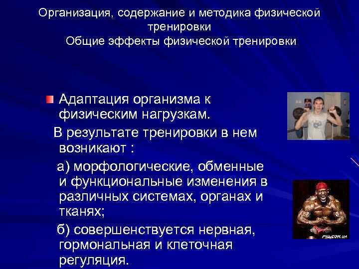 Презентация на тему адаптации человеческого организма к физическим нагрузкам