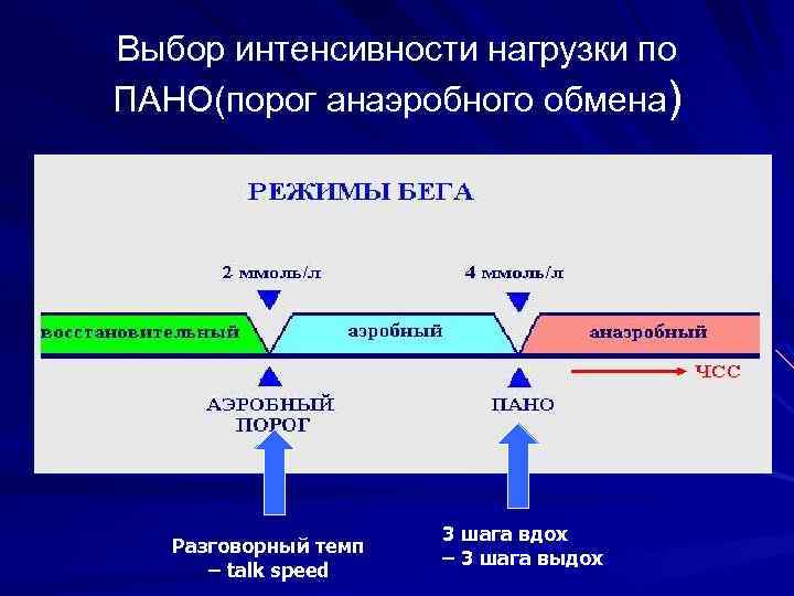 Порог анаэробного обмена пано