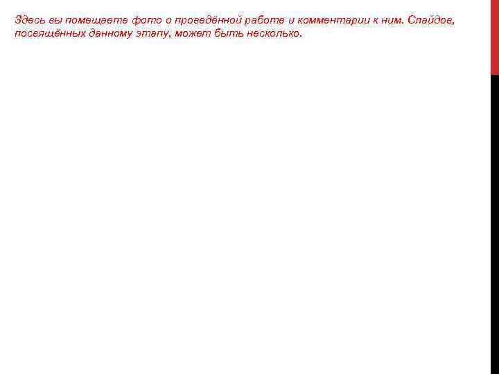 Здесь вы помещаете фото о проведённой работе и комментарии к ним. Слайдов, посвящённых данному