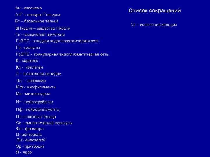 Ан - аксонема Ап. Г – аппарат Гольджи Бт – базальное тельце ВНиссля –