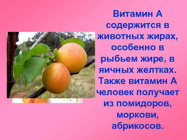 Витамин А содержится в животных жирах, особенно в рыбьем жире, в яичных желтках. Также