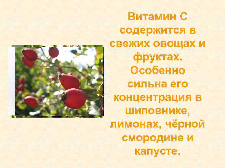 Витамин С содержится в свежих овощах и фруктах. Особенно сильна его концентрация в шиповнике,