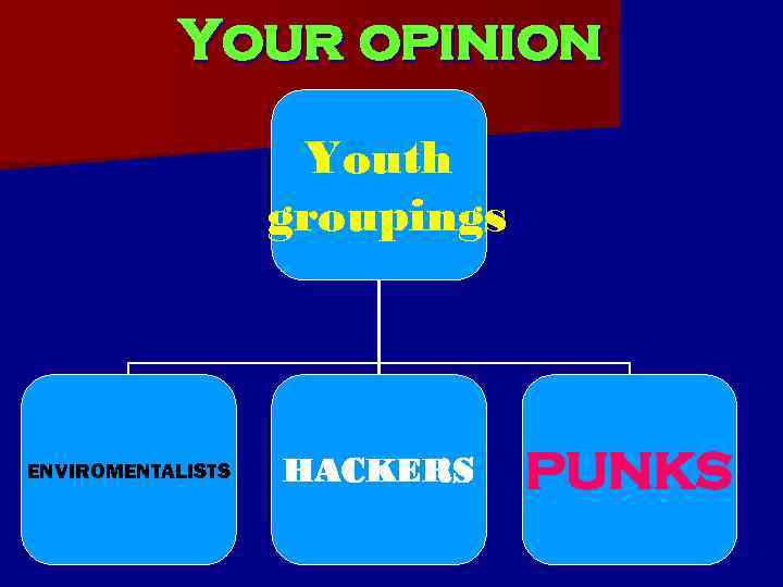 Your opinion Youth groupings ENVIROMENTALISTS HACKERS PUNKS 