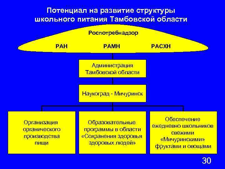 Потенциал на развитие структуры школьного питания Тамбовской области Роспотребнадзор РАН РАМН РАСХН Администрация Тамбовской