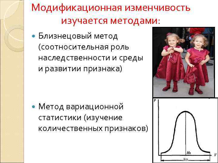 Соотносительная изменчивость. Коррелятивная изменчивость. Соотносительная изменчивость примеры. Примеры соотносительной изменчивости в биологии. Коррелятивная форма изменчивости.