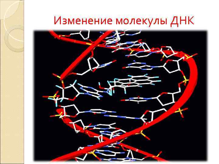 Изменения молекул