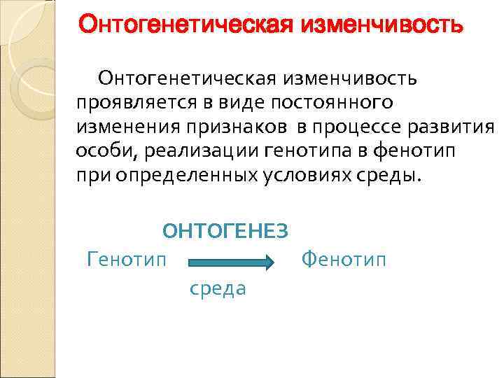 Фенотипическая изменчивость значение в онтогенезе и эволюции