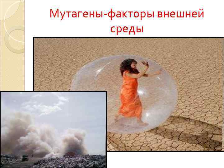 Мутагены-факторы внешней среды 