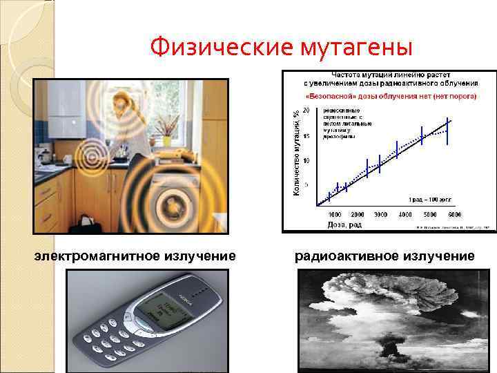 Физические мутагены электромагнитное излучение радиоактивное излучение 