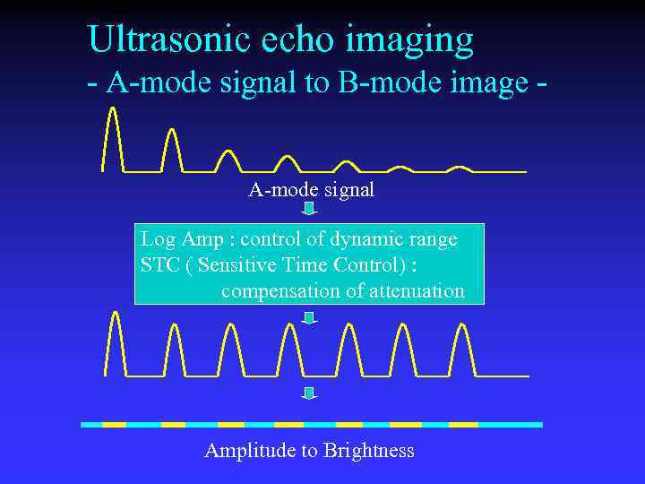 Ultrasonic echo imaging - A-mode signal to B-mode image A-mode signal Log Amp :