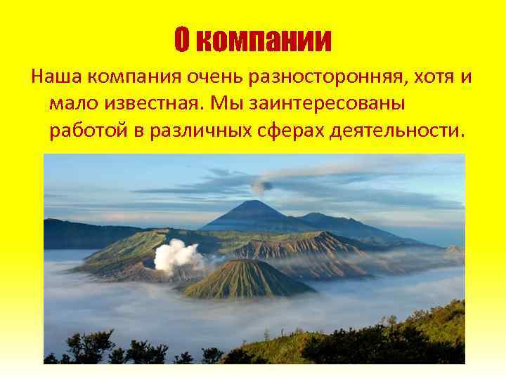 О компании Наша компания очень разносторонняя, хотя и мало известная. Мы заинтересованы работой в