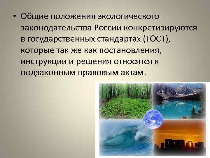  • Общие положения экологического законодательства России конкретизируются в государственных стандартах (ГОСТ), которые так