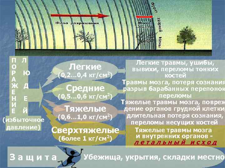 П Л О Р Ю А Ж Д Е Н Е И Е Й