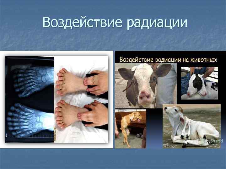 Воздействие радиации 