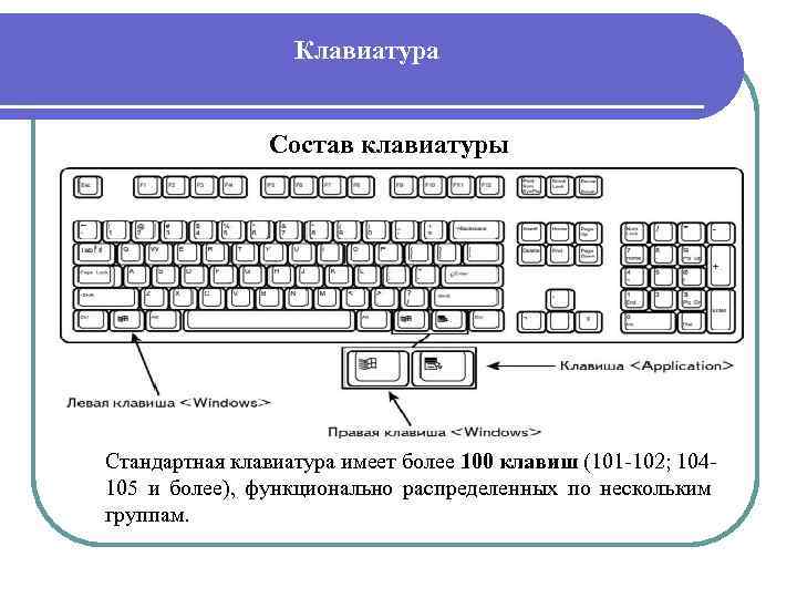 Клавиатура Состав клавиатуры Стандартная клавиатура имеет более 100 клавиш (101 -102; 104105 и более),