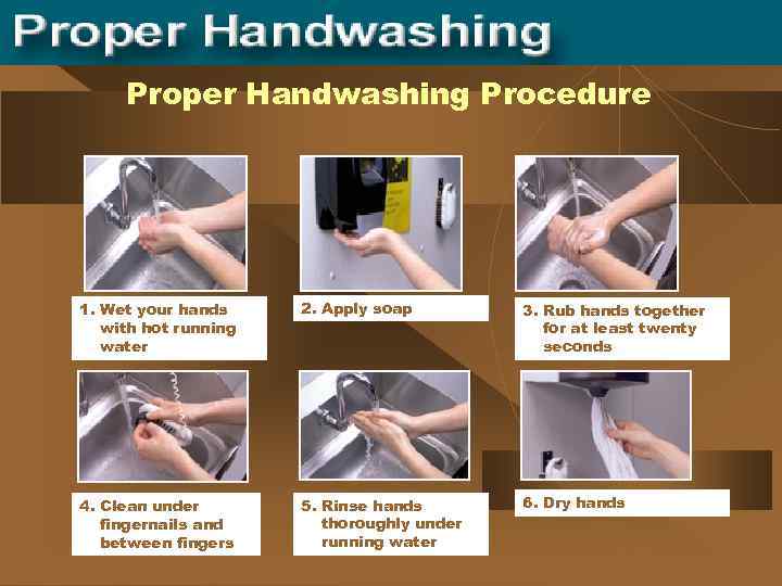 Proper Handwashing Procedure 1. Wet your hands with hot running water 2. Apply soap