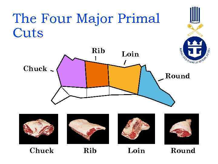 The Four Major Primal Cuts Rib Loin Chuck Round Rib Loin Round 