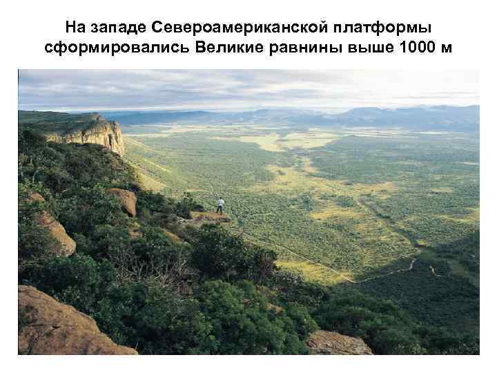 На западе Североамериканской платформы сформировались Великие равнины выше 1000 м 