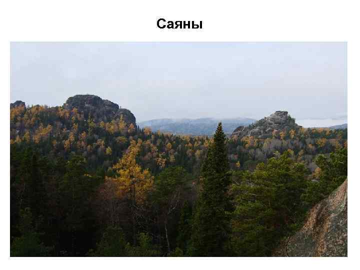 Саяны 