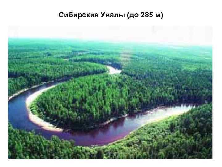 Сибирские увалы это что. Заповедник Сибирские Увалы. Парк Сибирские Увалы Нижневартовск. Сибирские Увалы рельеф. Природный парк Сибирские Увалы фото.