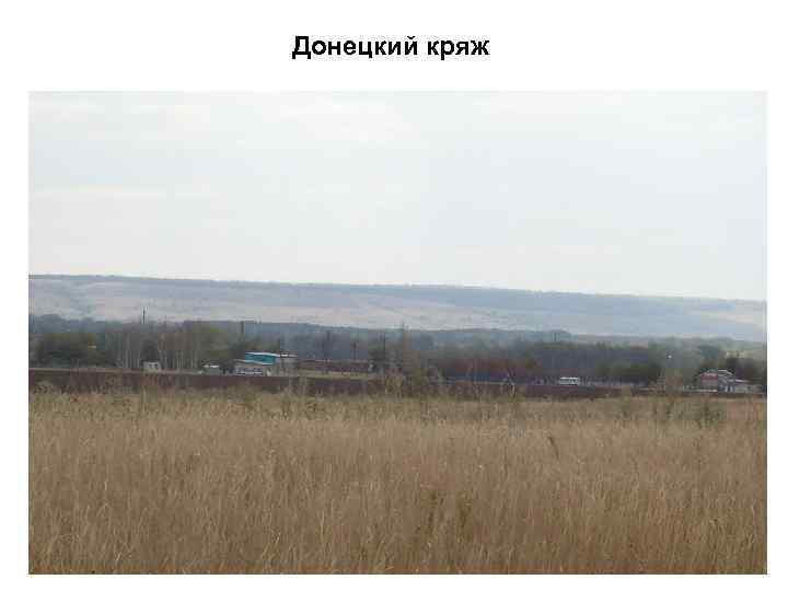 Донецкий кряж 