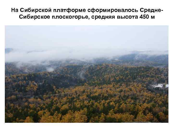 На Сибирской платформе сформировалось Средне. Сибирское плоскогорье, средняя высота 450 м 