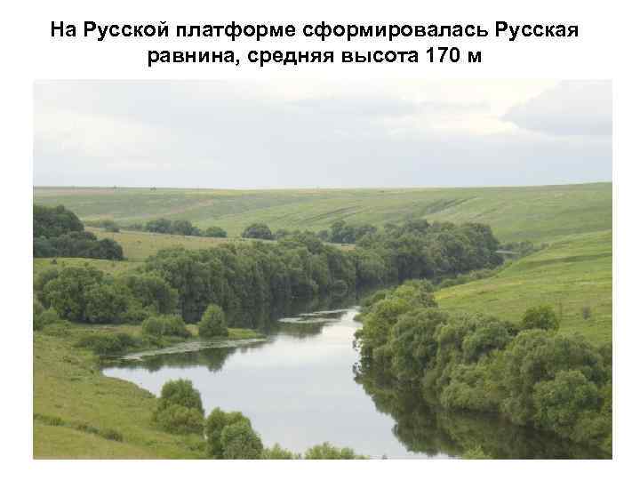 На Русской платформе сформировалась Русская равнина, средняя высота 170 м 