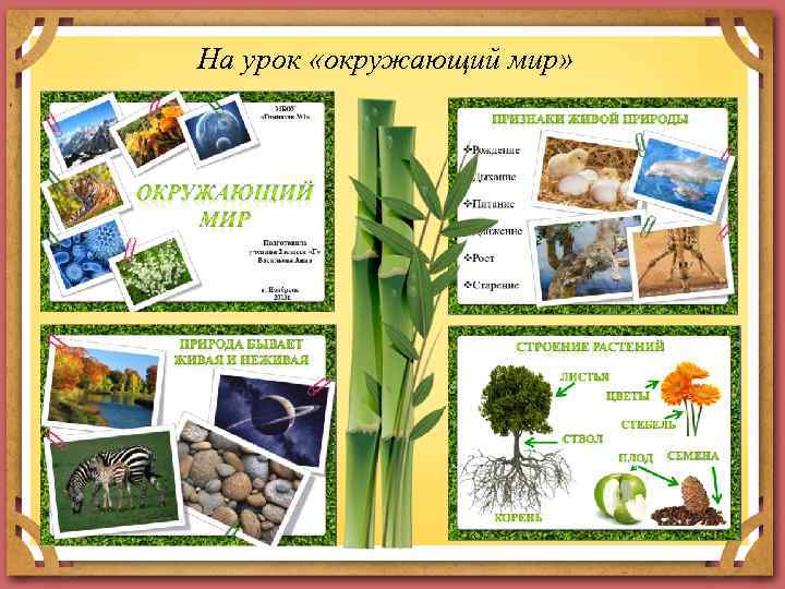 На урок «окружающий мир» 