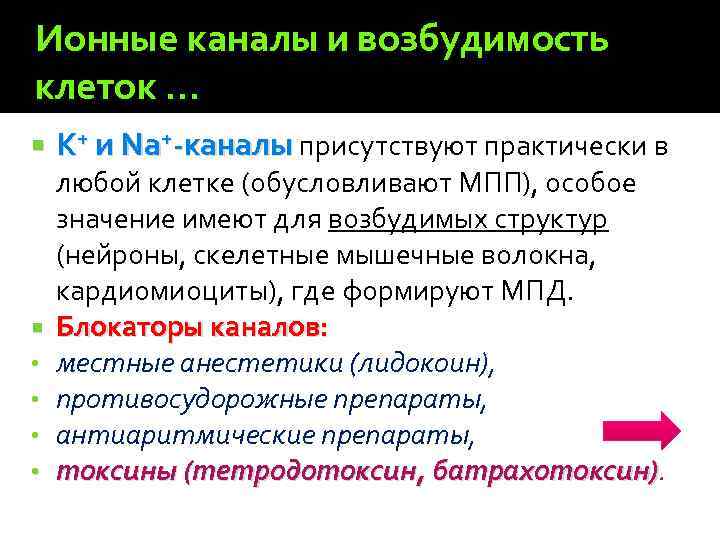 Ионные каналы и возбудимость клеток … • • K+ и Na+-каналы присутствуют практически в