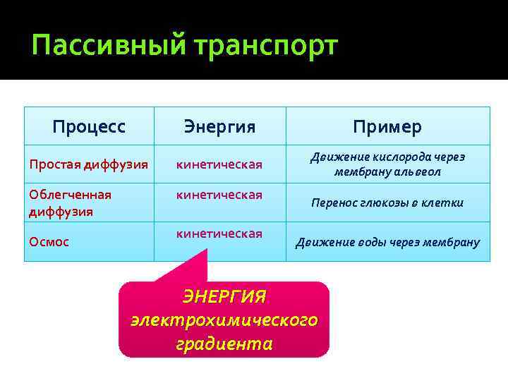 Виды переноса вещества