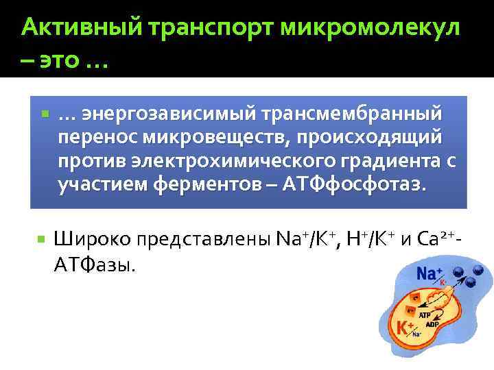 Активный транспорт микромолекул – это … … энергозависимый трансмембранный перенос микровеществ, происходящий против электрохимического