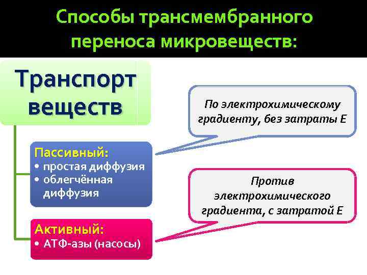 Способы трансмембранного переноса микровеществ: Транспорт веществ По электрохимическому градиенту, без затраты Е Пассивный: •