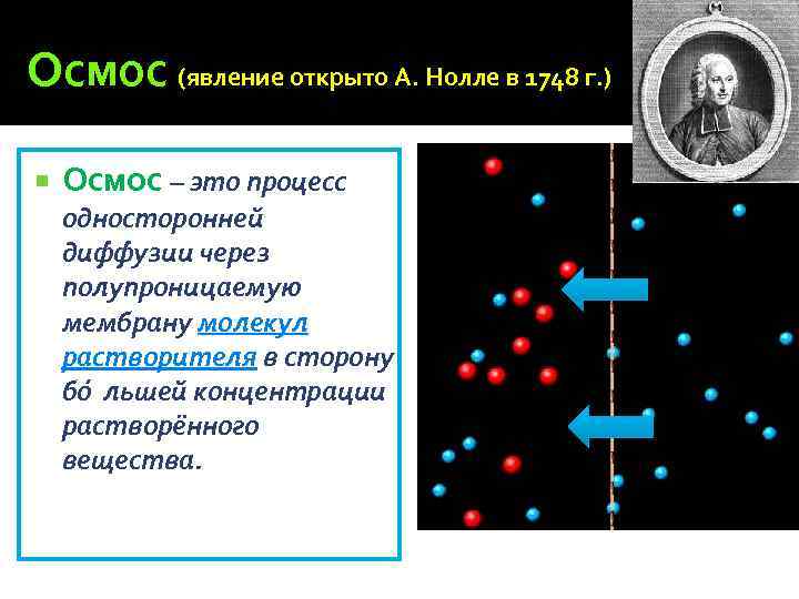 Осмос (явление открыто А. Нолле в 1748 г. ) Осмос – это процесс односторонней