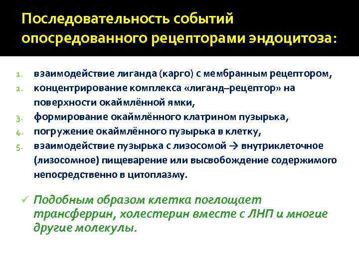 Последовательность событий опосредованного рецепторами эндоцитоза: 1. 2. 3. 4. 5. ü взаимодействие лиганда (карго)