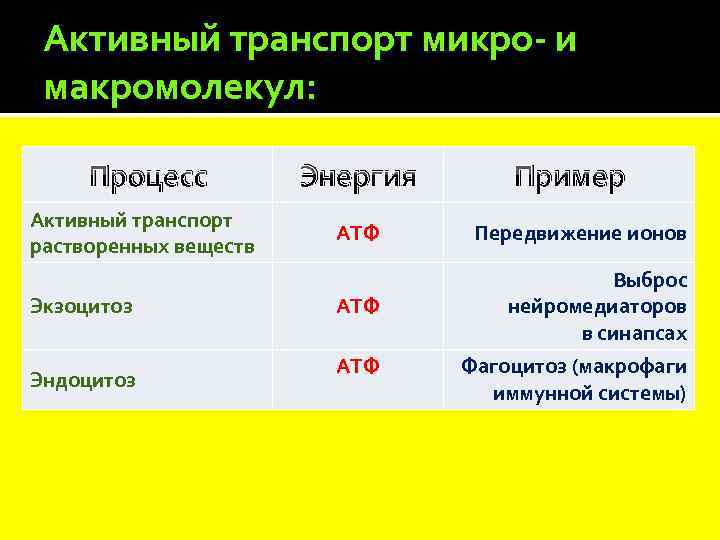 Активный транспорт микро- и макромолекул: Процесс Энергия Активный транспорт растворенных веществ АТФ Экзоцитоз Эндоцитоз