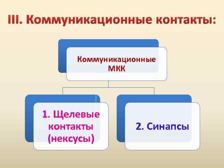 III. Коммуникационные контакты: Коммуникационные МКК 1. Щелевые контакты (нексусы) 2. Синапсы 