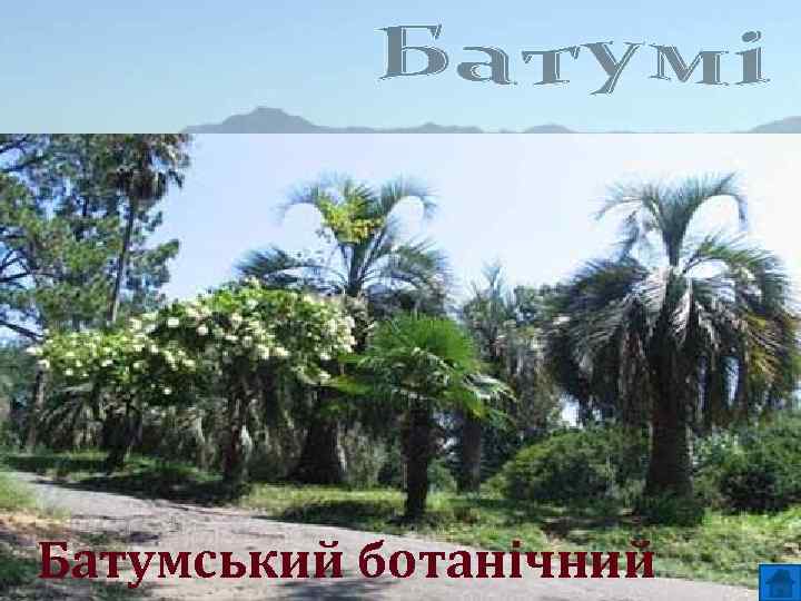 Батумський ботанічний 