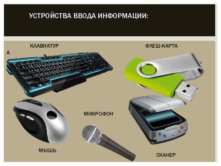 УСТРОЙСТВА ВВОДА ИНФОРМАЦИИ: КЛАВИАТУР ФЛЕШ-КАРТА А МИКРОФОН МЫШЬ СКАНЕР 