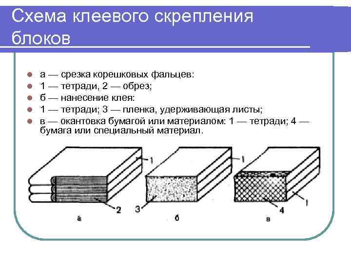 Схема клеевого скрепления блоков l l l а — срезка корешковых фальцев: 1 —