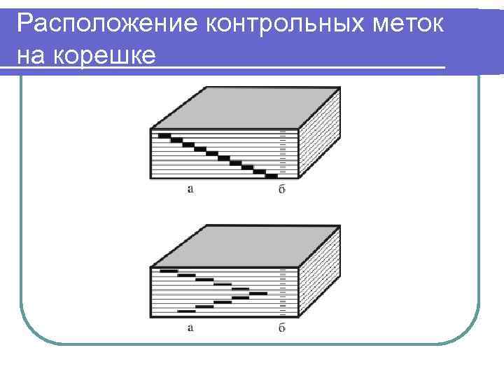 Расположение контрольных точек в паровых стерилизаторах рисунок