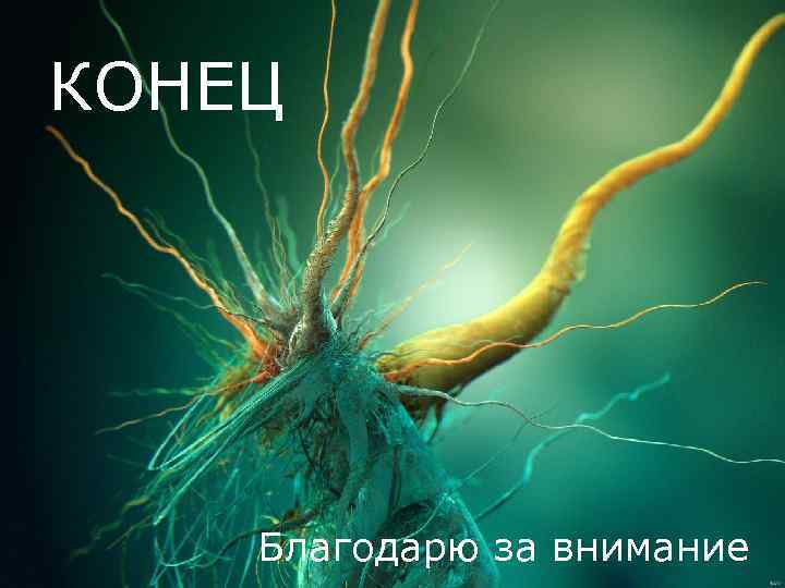 КОНЕЦ Благодарю за внимание 