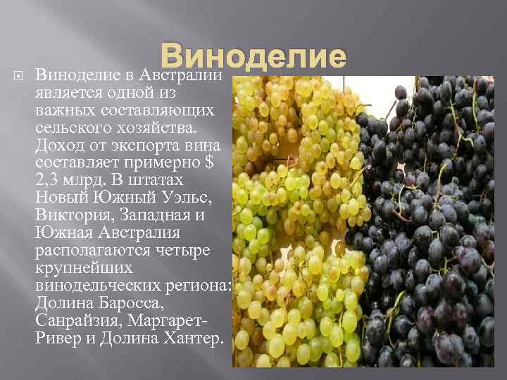  Виноделие в Австралии является одной из важных составляющих сельского хозяйства. Доход от экспорта