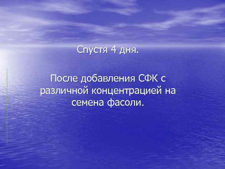 Спустя 4 дня. После добавления СФК с различной концентрацией на семена фасоли. 